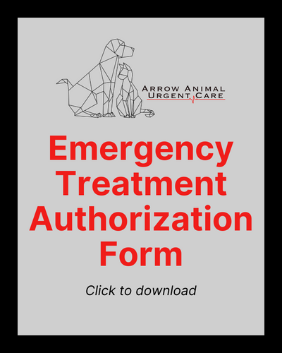 Emergency Treatment Authorization Form - Arrow Animal Urgent Care in Renton, WA