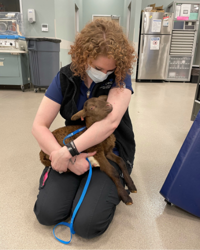 Emily, Veterinary Assistant at Arrow Animal Urgent Care