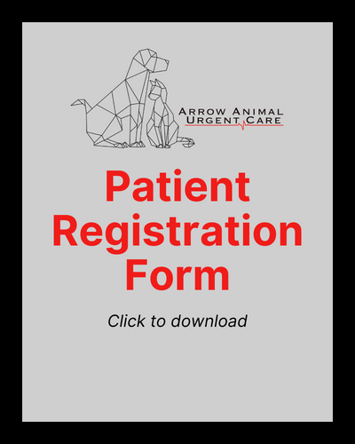 Patient Registration Form - Arrow Animal Urgent Care in Renton, WA