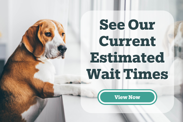 View Our Current Estimated Wait Times